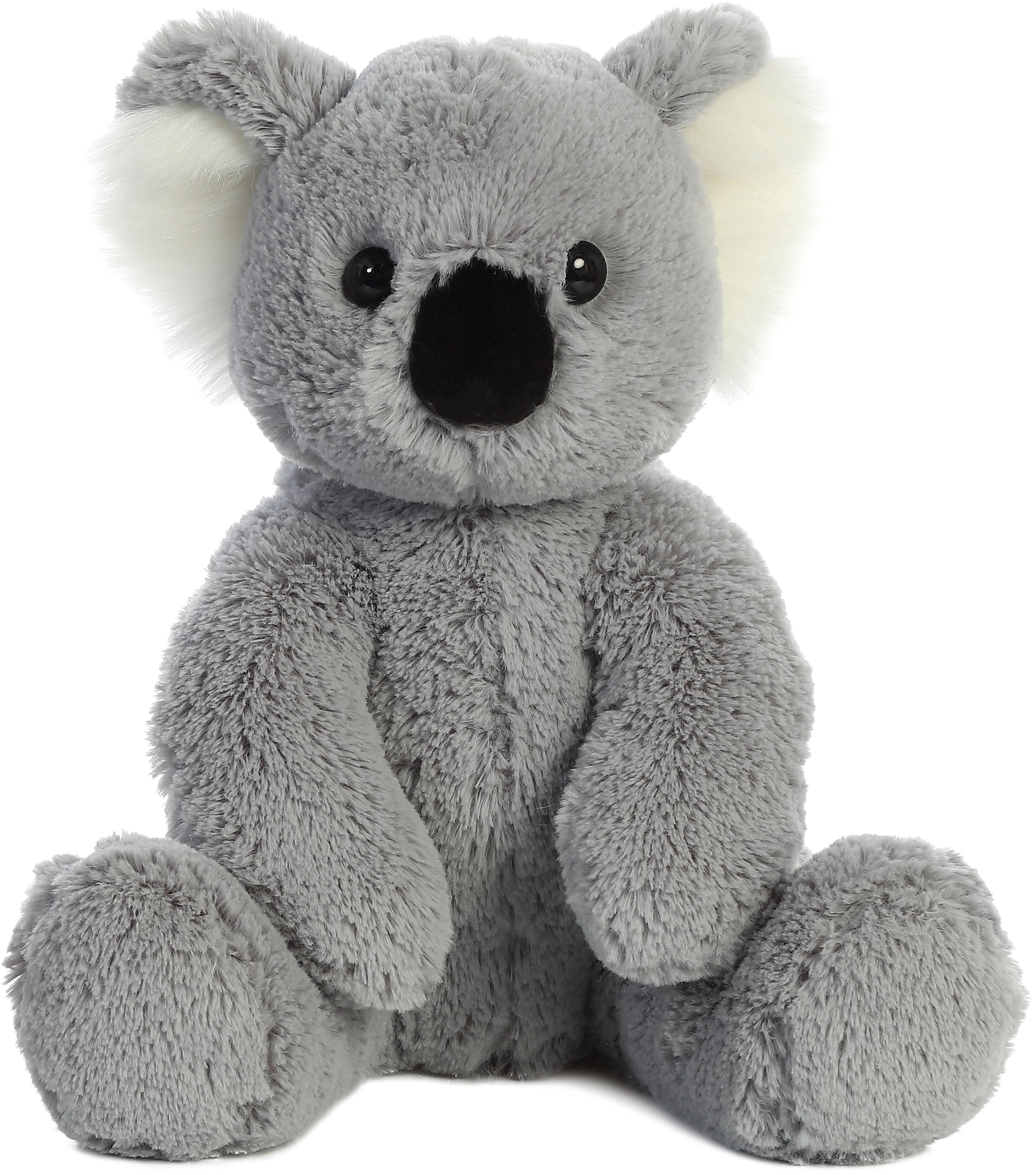 50274Koala.webp