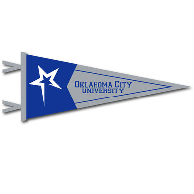 7 X 18 Two-Piece Flock Plus Pennant | Royal