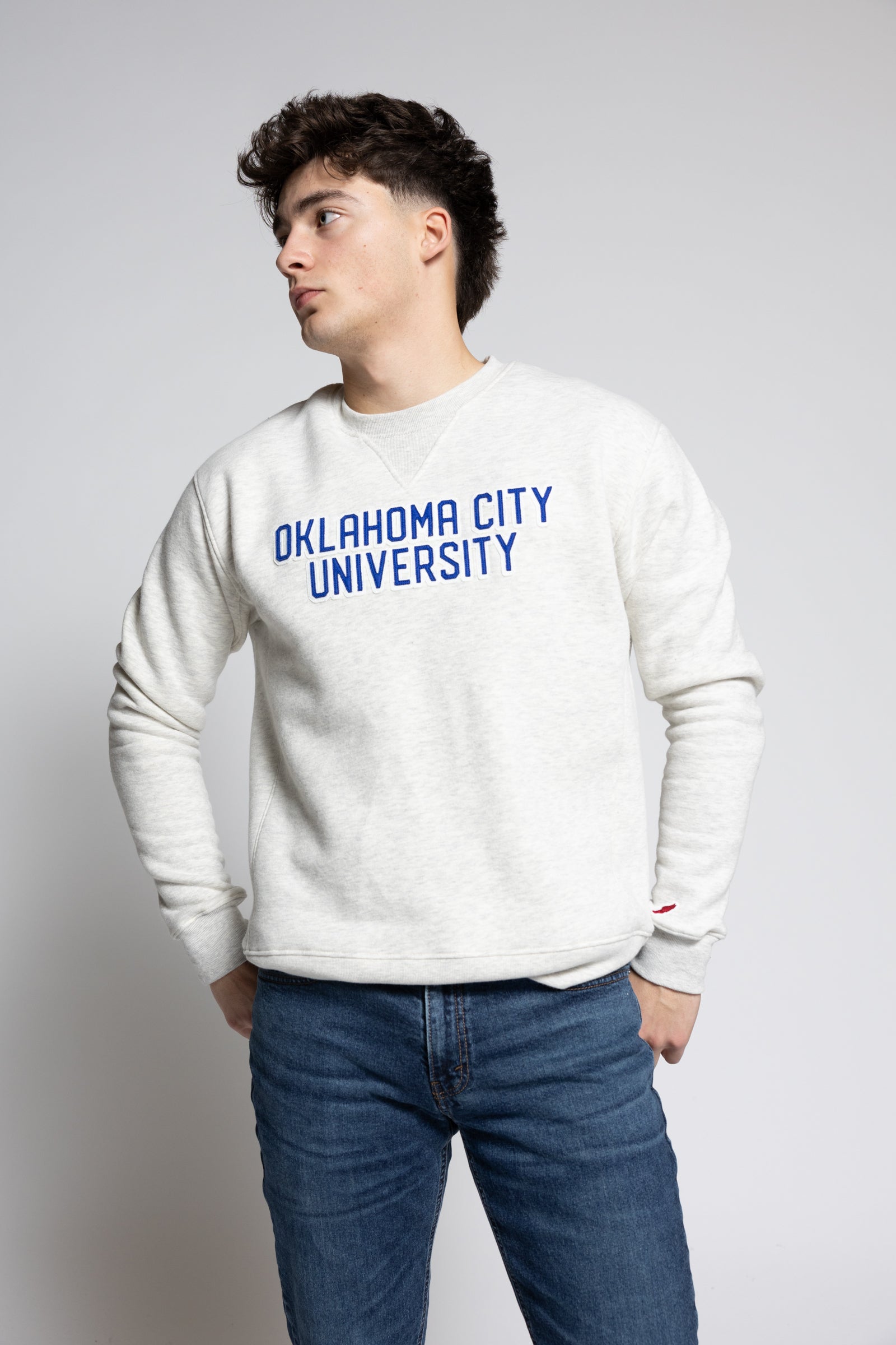 1991 Brushed 80/20 Fleece Crewneck | Oatmeal